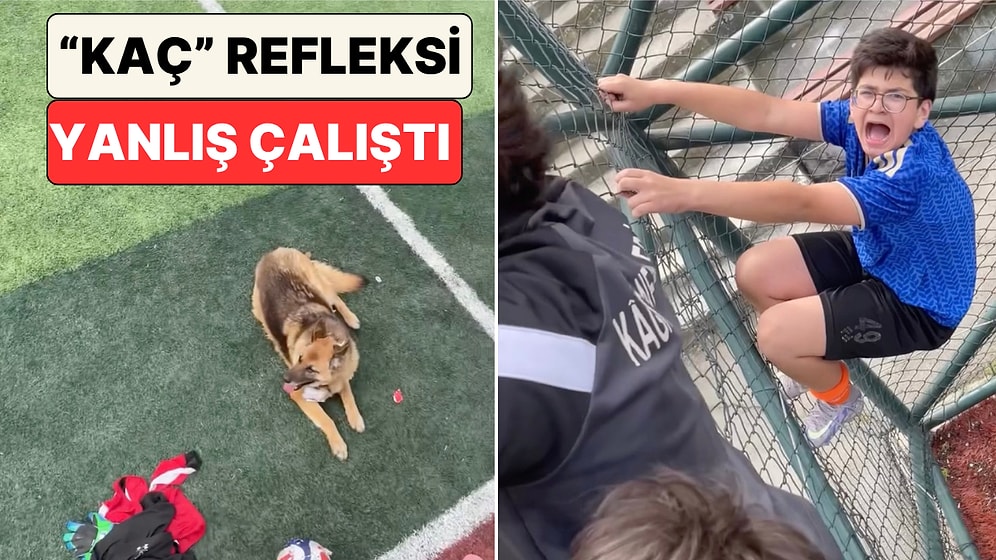 Halı Sahaya Köpek Girince Ne Yapacağını Bilemeyen Gençlerin Korku Dolu Halleri