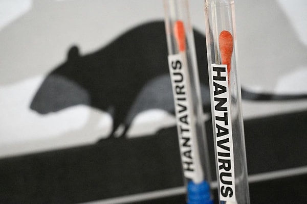 Hantavirüs Nedir?