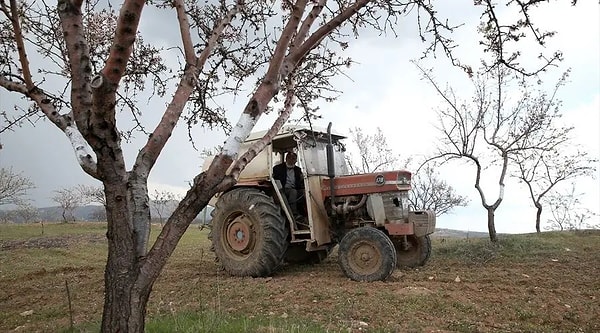 "Burada toprakla, ağaçla uğraşmak bedene yorgunluk yapıyor ama zihne yorgunluk ve stres yapmıyor."