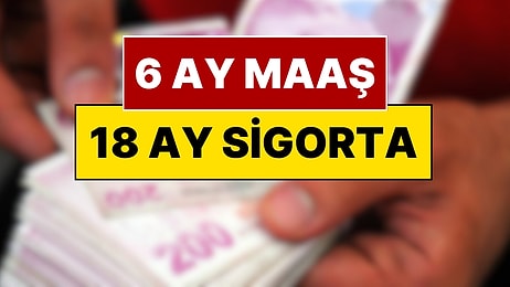 18-25 Yaş Arası Gençlere Dev Hamle: 6 Ay Maaş ve 18 Ay Prim Desteği Geliyor