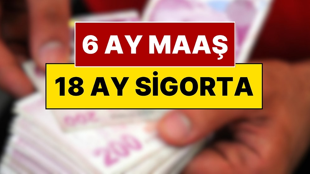 18-25 Yaş Arası Gençlere Dev Hamle: 6 Ay Maaş ve 18 Ay Prim Desteği Geliyor
