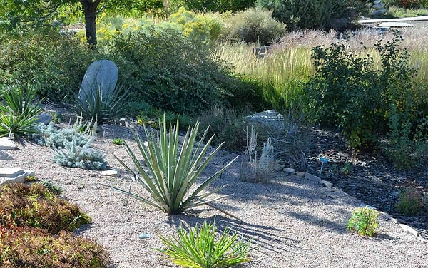Kuru Bahçeler (Xeriscaping)