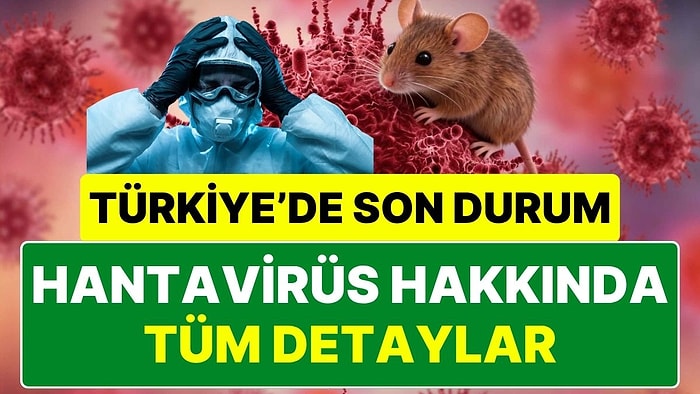 Prof. Dr. Mehmet Ceyhan'dan Hantavirüs Açıklaması: Hantavirüs Nasıl Bulaşır, Belirtileri Nelerdir?