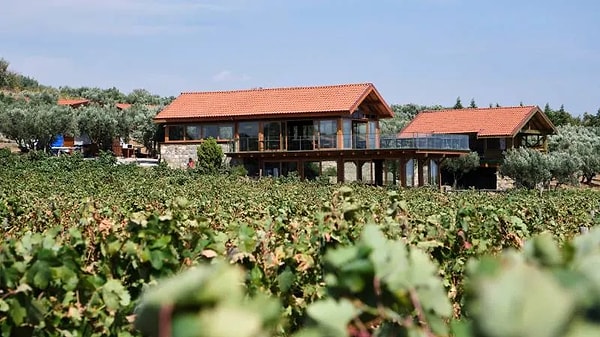 Devletin gözettiği ayrımda "kaçak villa" detayı var.