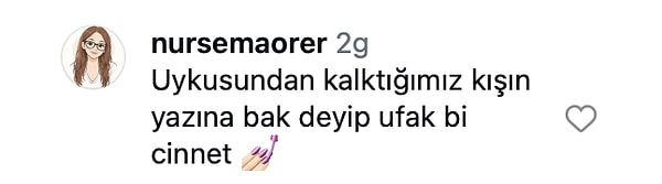 👇
