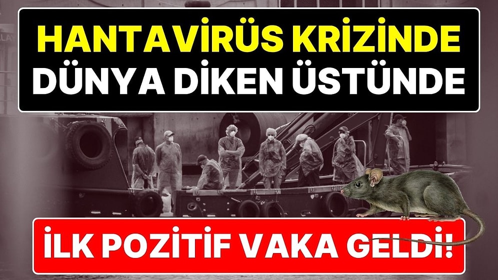 Tüm Dünyada Hantavirüs Alarmı! Virüslü Gemiden Tahliyeler Başladı, İlk Hantavirüs Testi Pozitif Çıktı