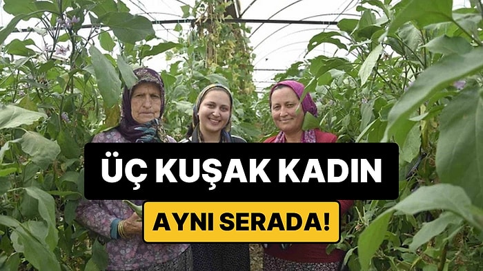 Üç Kuşak Kadın Aynı Serada: Nineden Toruna Üretim Yapıyorlar