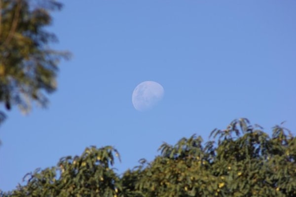 The Moon completes a full orbit around the Earth approximately every 29.5 days.