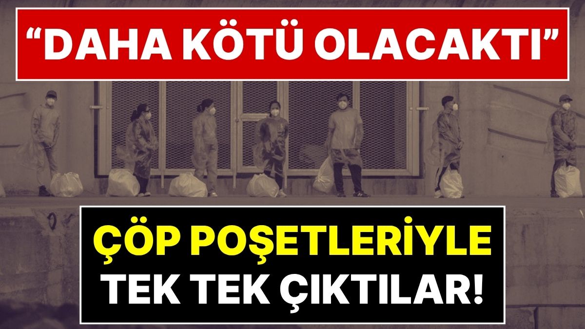 "Durum Daha da Kötü Olacaktı": Hantavirüste Yeni Pozitif Vaka Haberi Geldi: DSÖ'den Açıklama!