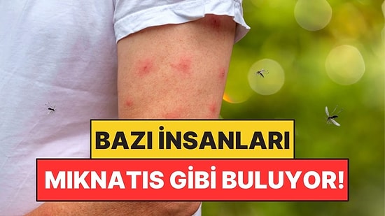 Sivrisineklerin Bazı İnsanları Daha Çok Isırmasının Nedeni Açıklandı