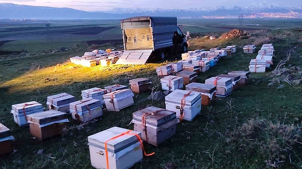 Gezgin arıcılık, sadece bir bölgede kalmayı değil, doğanın ritmine ayak uydurmayı gerektiriyor.