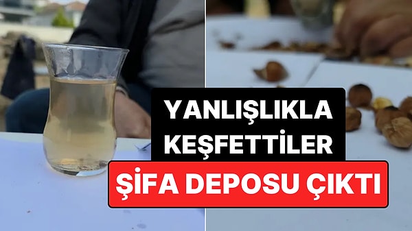 İşçilerin Molalarında Yanlışlıkla Keşfettiği Çay Şifa Deposu Çıktı!