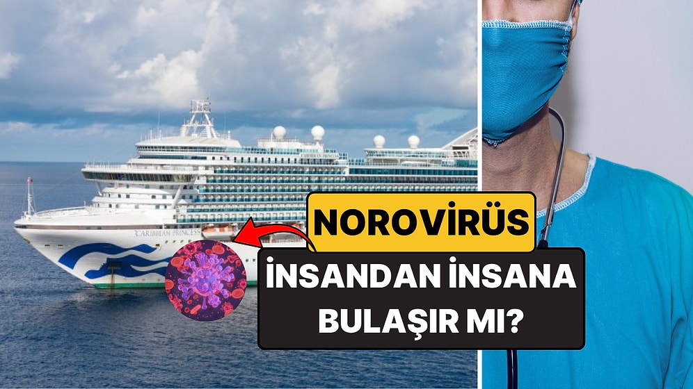 Norovirüs Nedir? İnsandan İnsana Bulaşır mı? Fransa'daki Yolcu Gemisindeki Norovirüs Salgınının Detayları