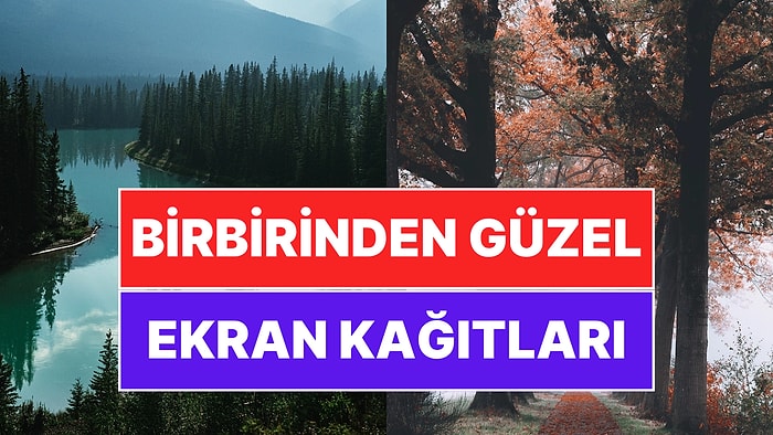 Telefonunuza Biraz Canlılık Katın: Android Telefonunuz İçin Birbirinden Şahane 100 Duvar Kağıdı