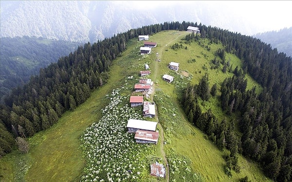 Sal Yaylası: Rize'nin 2.200 Metre İrtifasındaki Yaylacılık Merkezi