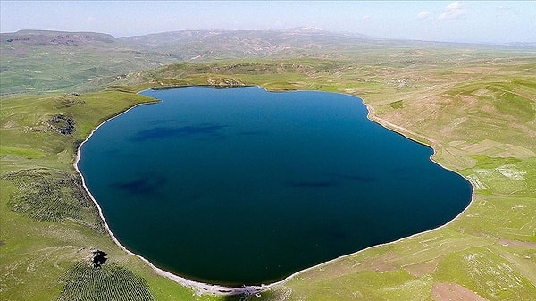 Aygır Gölü: Ardahan'ın Vahşi Yaşam Cenneti