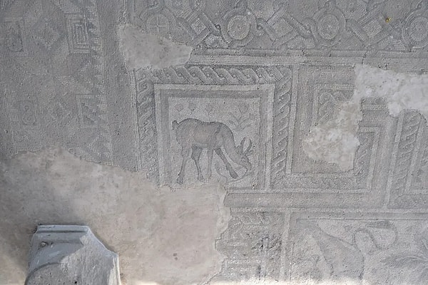 Gün yüzüne çıkarılan nadide eserler müze envanterlerinde sergileniyor