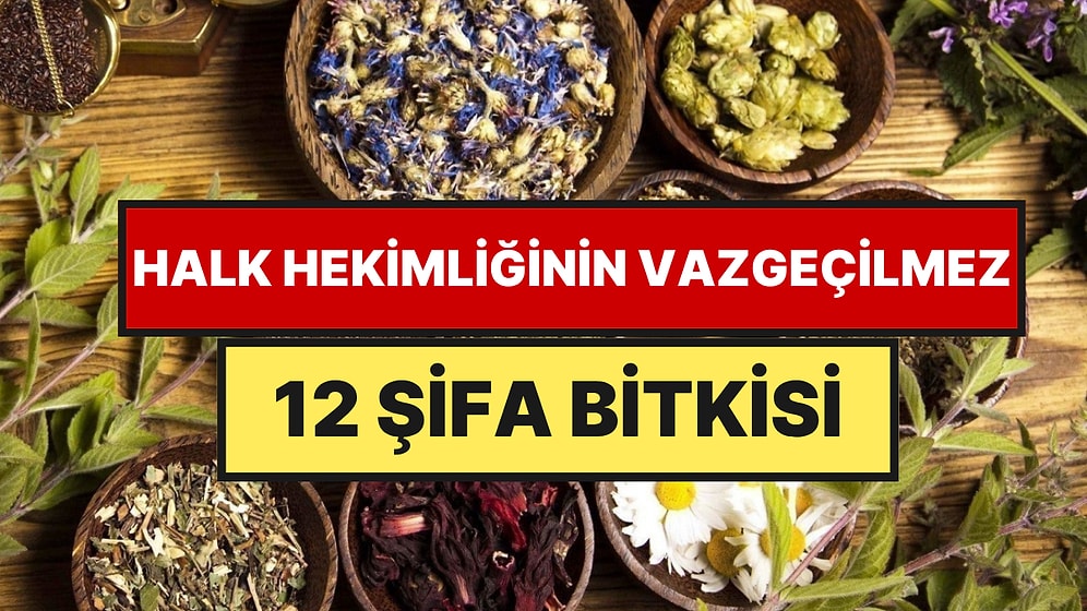 Dağlardan Toplanıyor, Evlerde Saklanıyor: Anadolu Köylerinde Hala Kullanılan 12 Şifa Bitkisi