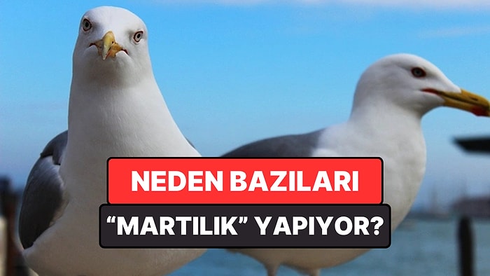 Flörtte “Martı Gibi Davranmak” Ne Anlama Geliyor?