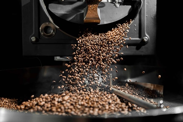 How Does the Maillard Reaction Work?