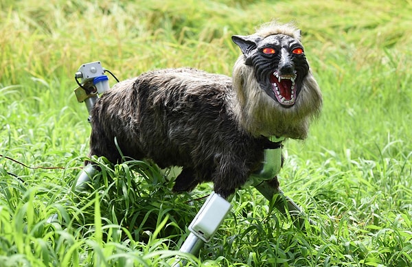 Artan Saldırı Vakaları Robotik Sistemlere Olan Talebi Zirveye Taşıdı