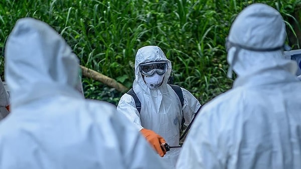 336 suspected infections, 87 potential fatalities.