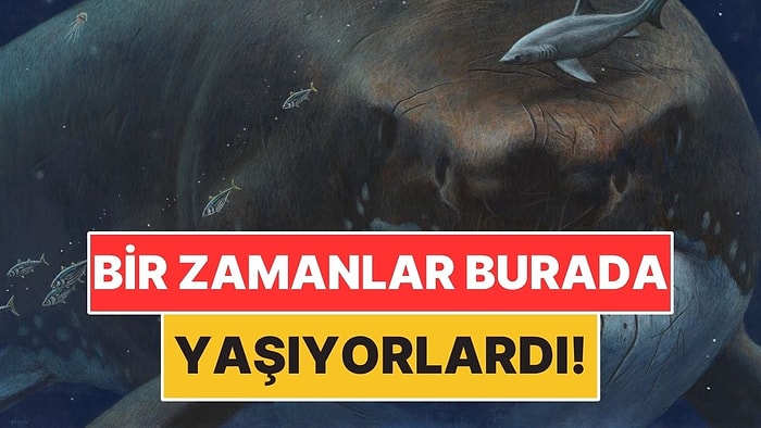 Dünyanın Bir Zamanlar Ev Sahipliği Yaptığı 5 Ürkütücü Canlı