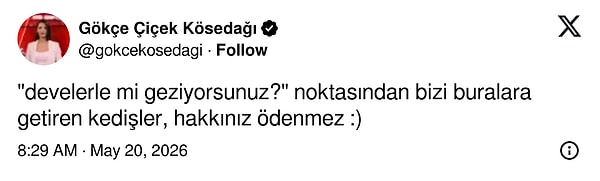 👇