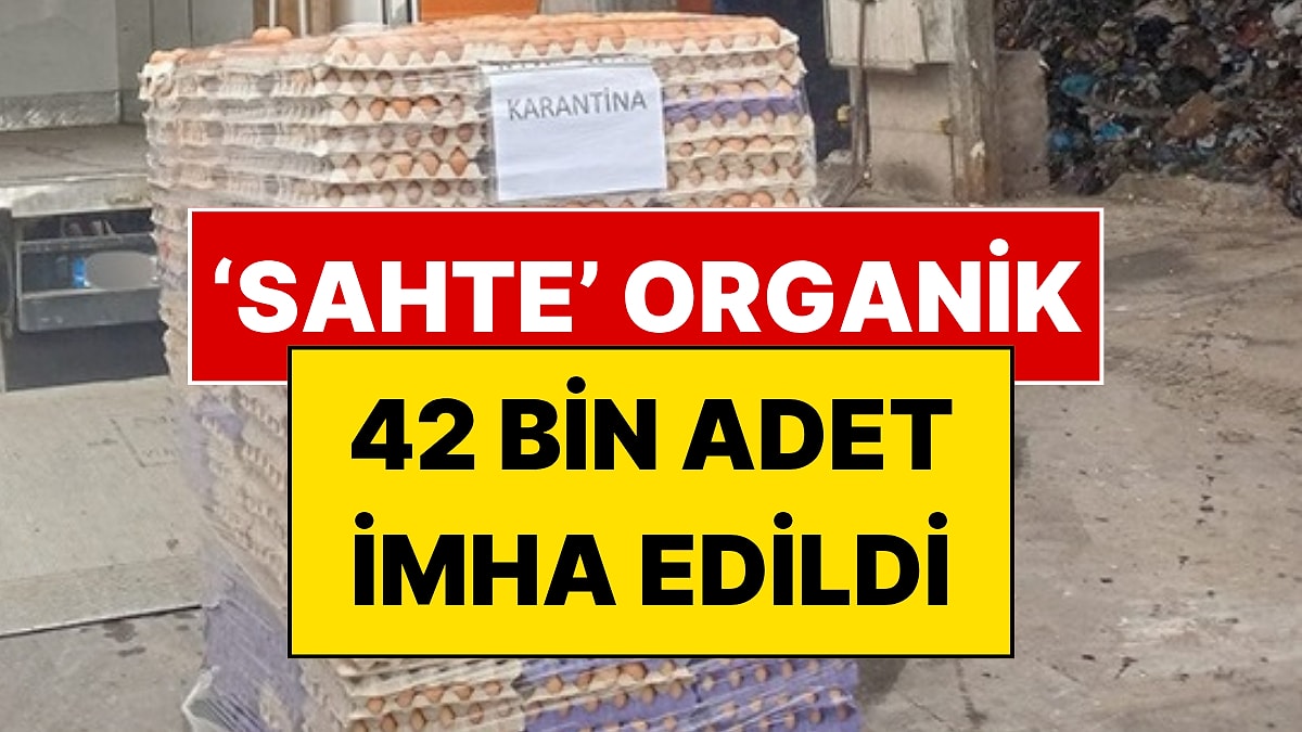 Yumurtada Akılalmaz Hile: 42 Bin Adet İmha Edildi!