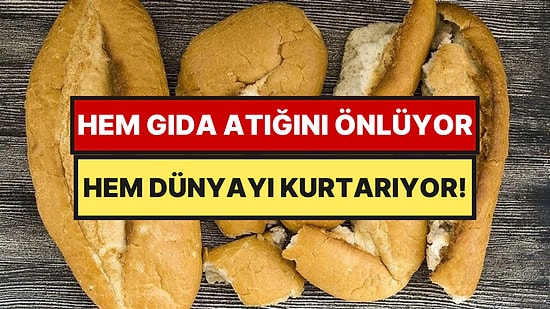 Çöpe Giden Ekmeklerden İlaç ve Plastik Üretecekler