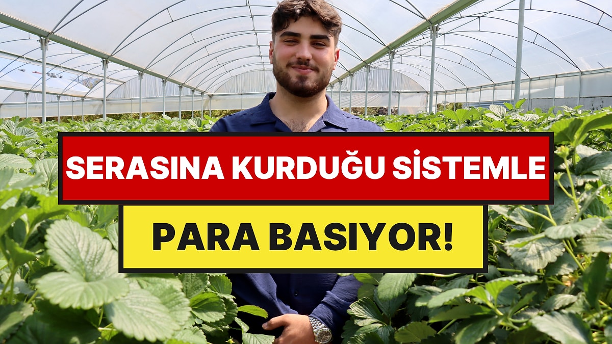 Paraya Para Demiyor: Serasına Kurduğu Sistemle 21 Yaşında Servet Sahibi Oldu