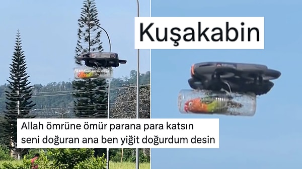 Bir Kuş Sahibi, Uçamayan Kuşu İçin "Kabinli" Drone Yaptı