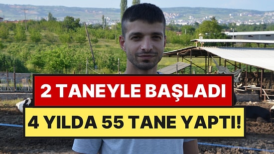 Kurduğu İşi Kapatıp Baba Mesleğine Döndü: Şimdi Günlük 250 Litre Üretiyor