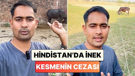 Hindular İneğe Tapıyor mu? Hindistanlı Bir Genç Herkesin Kafasını Karıştıran O Konuya Açıklık Getirdi