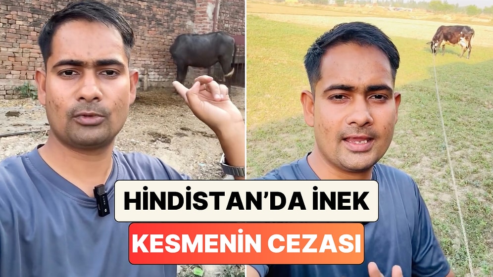 Hindular İneğe Tapıyor mu? Hindistanlı Bir Genç Herkesin Kafasını Karıştıran O Konuya Açıklık Getirdi