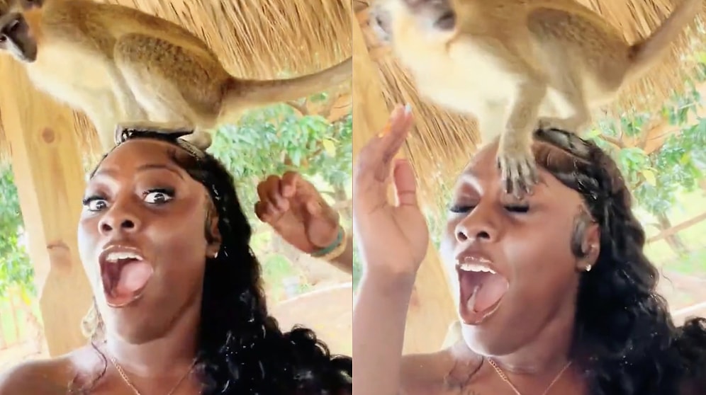 Photo Session Turns Into a Nightmare as Woman Posing With a Monkey Gets Shocked