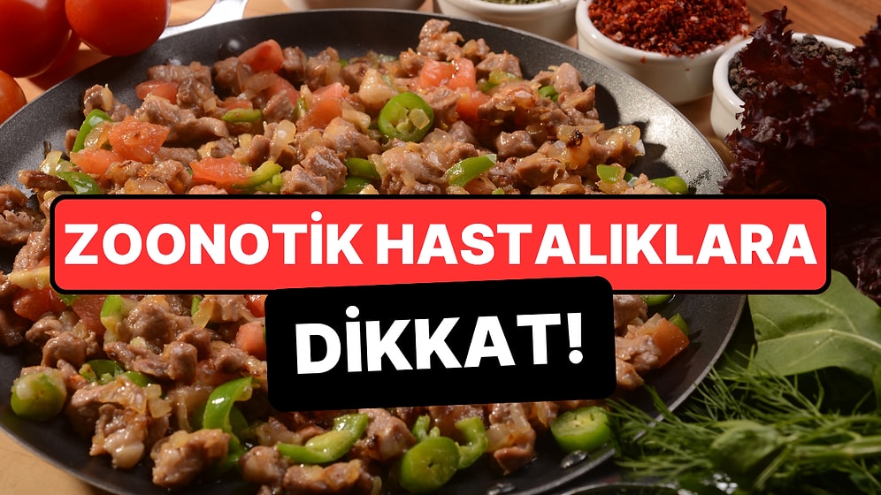 Bakanlık Uyardı: Bayramda Hayvandan İnsana Bulaşan Bakterilere Dikkat!