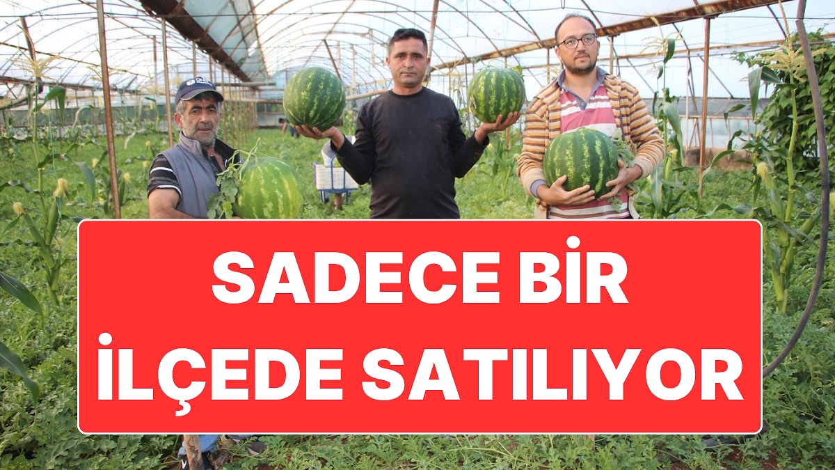 Kilosu 60 Liradan Satılan Çekirdek Karpuzun Hasadı Başladı: Türkiye’de Sadece Bir İlçede Satılıyor