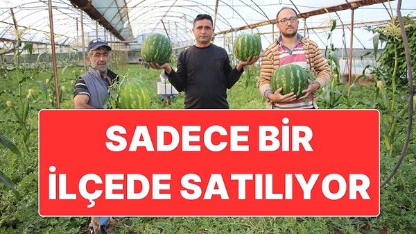 Kilosu 60 Liradan Satılan Çekirdek Karpuz