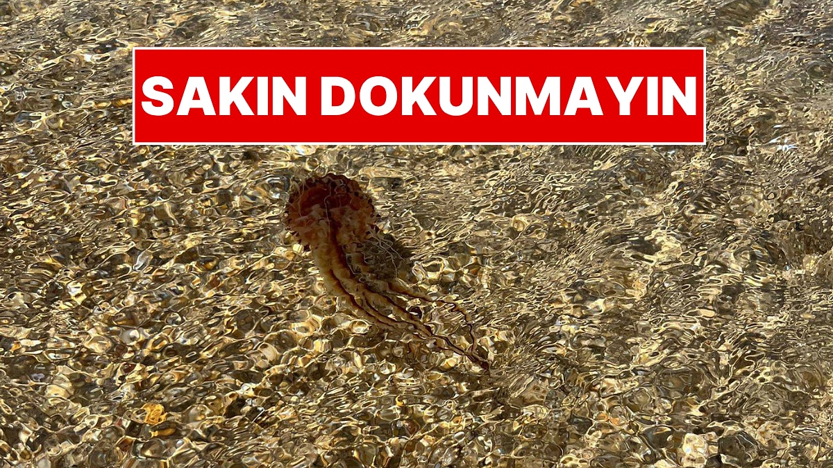 Marmara'dan Sonra Oraya Da Sıçradı! Uzmanlardan 