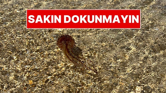 Marmara'dan Sonra Oraya Da Sıçradı! Uzmanlardan "Kesinlikle Temas Etmeyin" Uyarısı