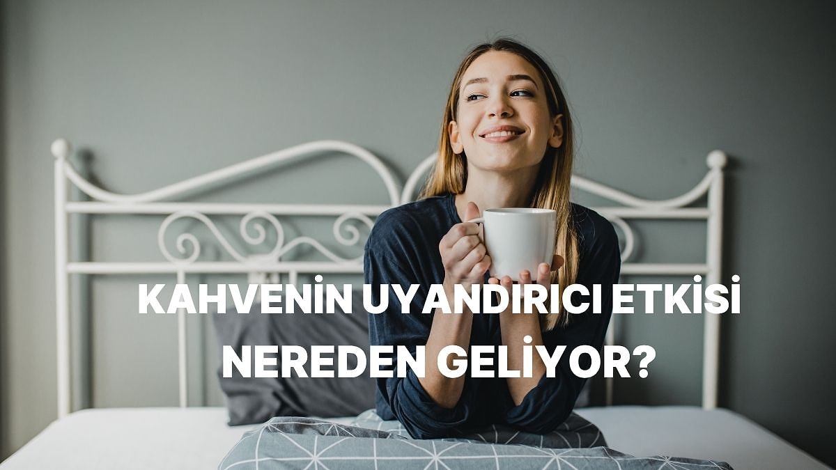 Kahve Nasıl Oluyor da Bizi Uyandırmayı Başarıyor?
