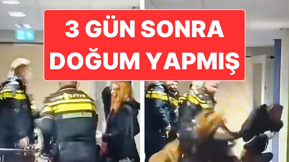 Hollanda’da Filistin Asıllı Hamile Kadına Şiddet Uygulayan Polislere Soruşturma Açıldı
