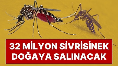 Hastalıklara Karşı İlginç Hamle: 32 Milyon Sivrisinek Doğaya Salınacak