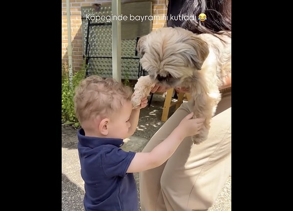Bir evcil hayvanla büyümek çocuğa neler kazandırır?