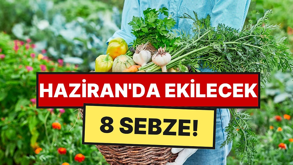 Haziran Ayında Ekip Kışa Kadar Kilo Kilo Hasat Edebileceğiniz 8 Sebze Açıklandı
