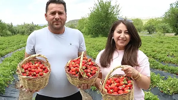 Bahçeler vatandaşların dalından taze ürün toplayabileceği birer sosyal yaşam alanına dönüşüyor