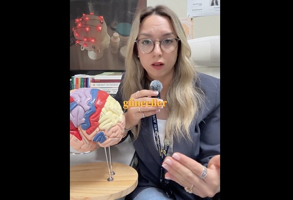 Beynimizin Varsayılan Ayarı: Default Mode Network