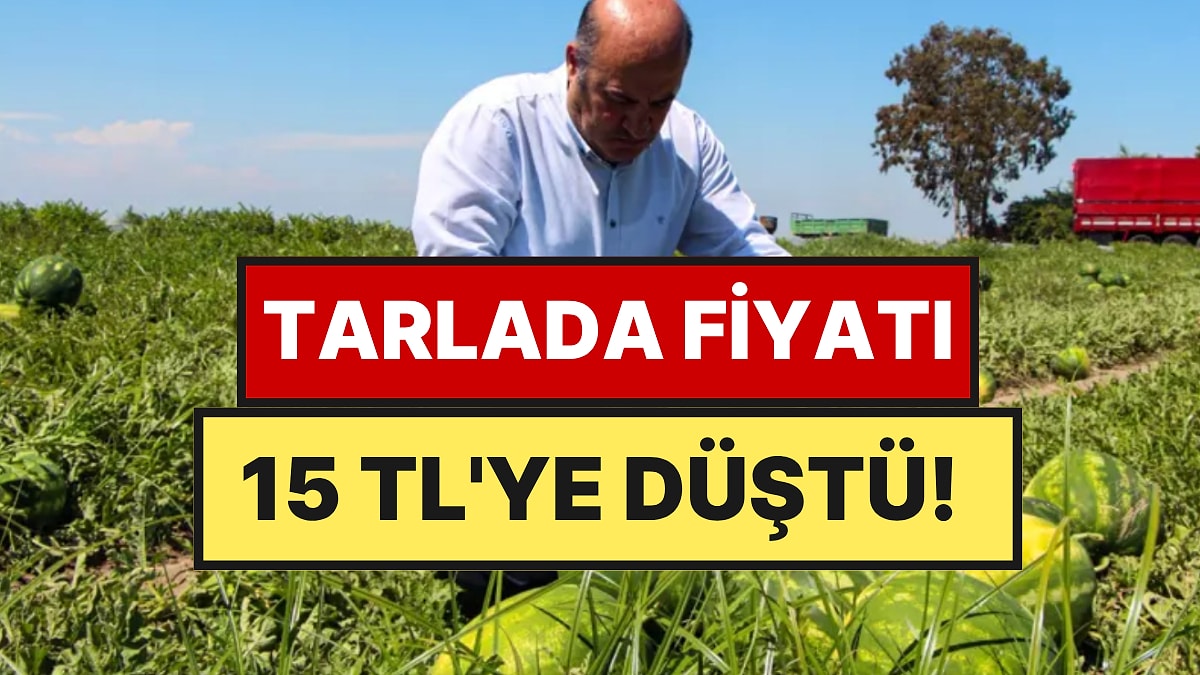 Karpuzda Yeni Dönem: Satışların Yüzde 25'i Artık Bu Şekilde Yapılıyor