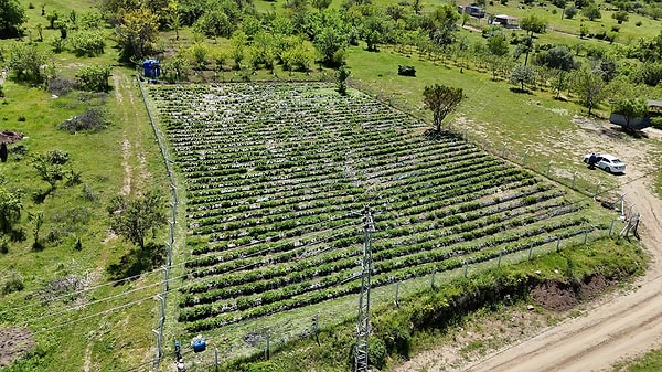 Projenin arkasındaki teknik süreci ve devlet desteğini anlatan Gökhan Akyol ise Konya Ovası Projesi (KOP) Bölge Kalkınma İdaresi Başkanlığı desteğinin önemine dikkat çekti.